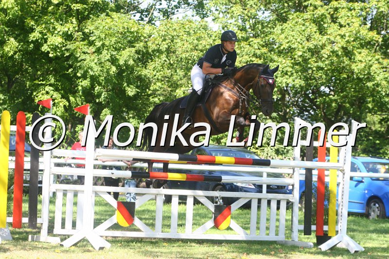 308M1693_Sunnyboy_Spring Mxx.JPG